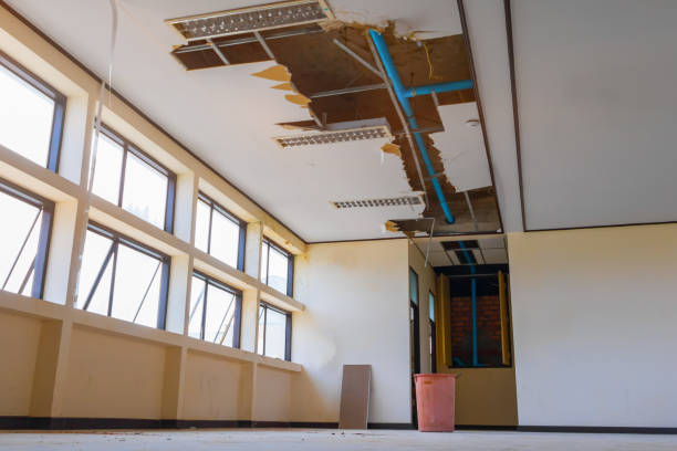 Best Professional water damage repair  in South Oroville, CA