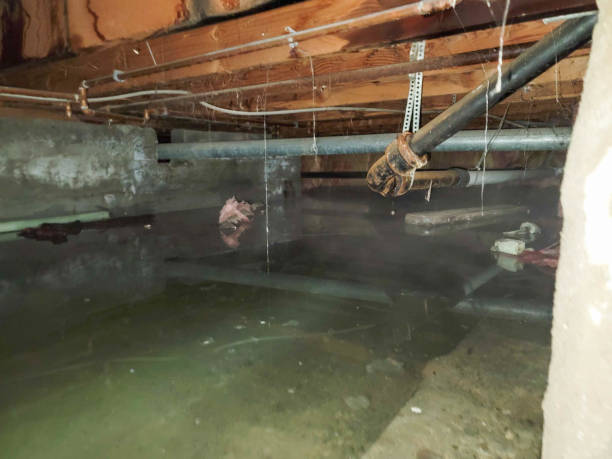 Carpet water damage restoration in CA