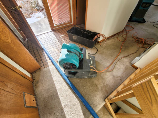 Best Carpet water damage restoration  in South Oroville, CA