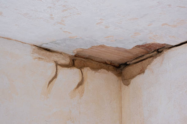 Best Flooded house restoration  in South Oroville, CA