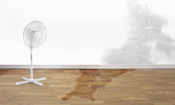 Best Water damage restoration near me  in South Oroville, CA
