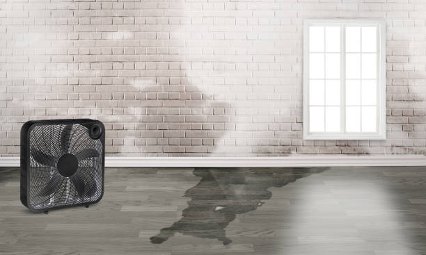 Best Flood restoration services  in South Oroville, CA