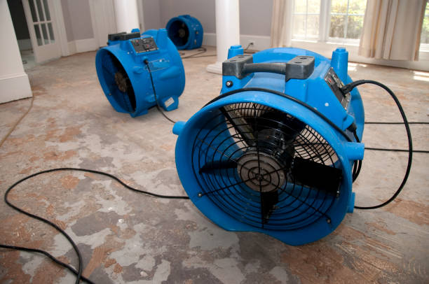 Best Ceiling water damage repair  in South Oroville, CA