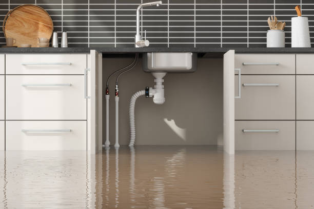 Best Fire Damage Restoration  in South Oroville, CA