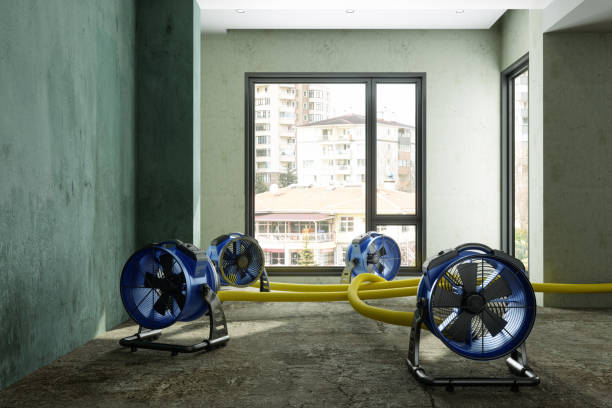 Best Water damage restoration near me  in South Oroville, CA